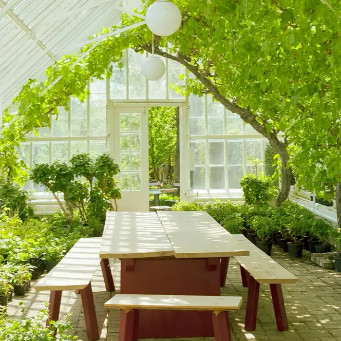 Brilliant Ideas to Style Indoor Greenhouses