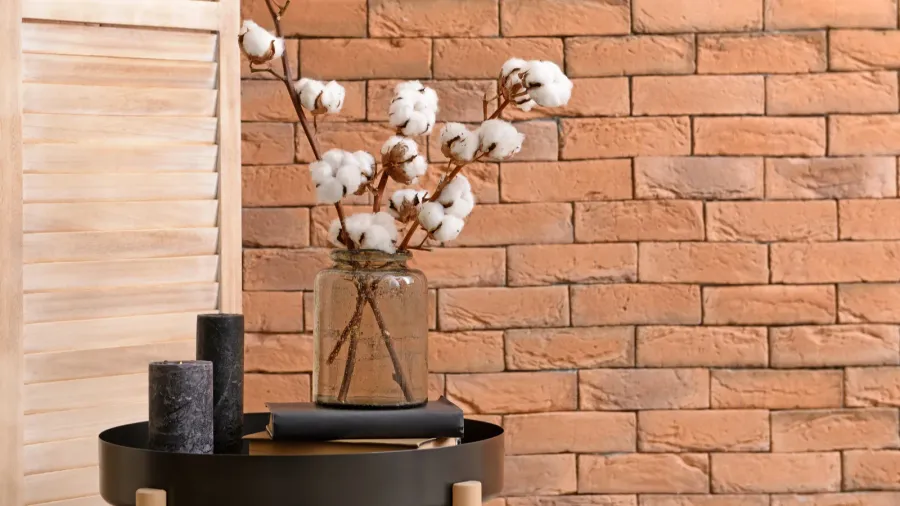 cotton flowers in interior of room