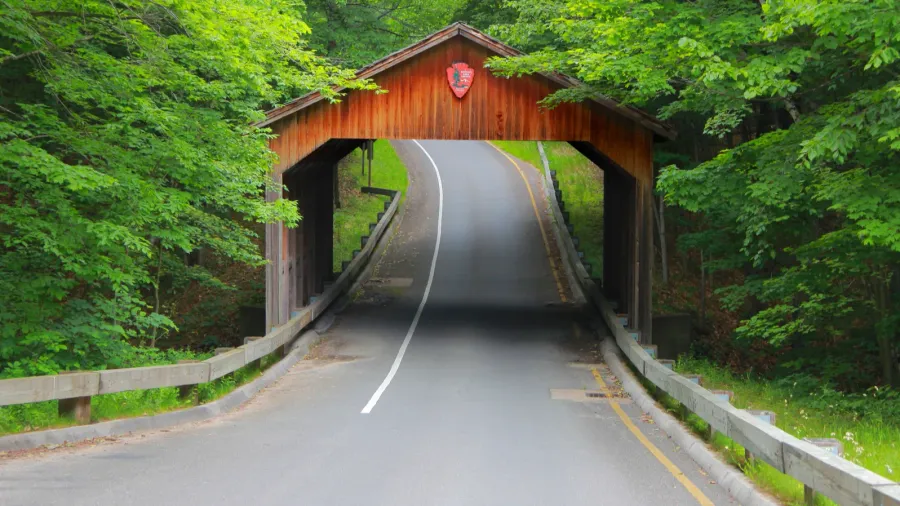 covered bridge in michigan