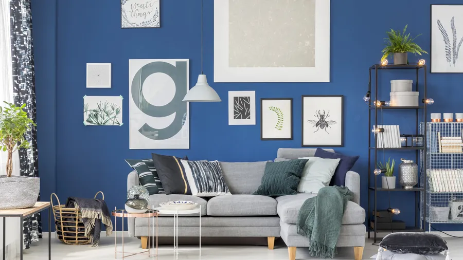 A modern living room with a blue accent wall, decorated with various framed artworks, a grey sectional sofa with assorted pillows, a black shelving unit with books and plants, and a small side table with decorative items.