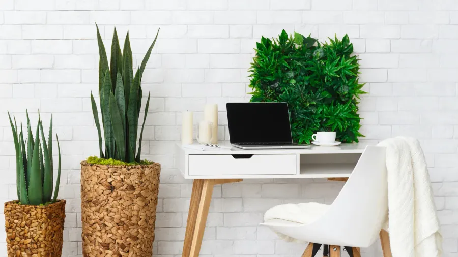 A cozy home office setup with white desk and chair, and potted plants in decorative planters beside them.