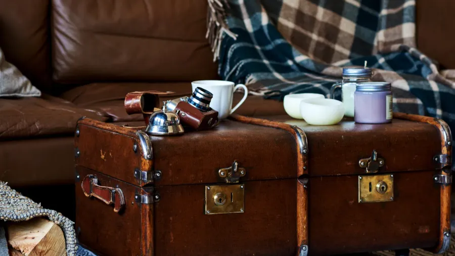 cozy living room with sofa and plaid vintage photo camera