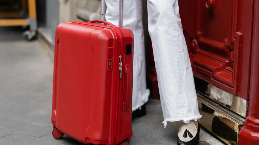 cropped view of suitcase near traveler on urban street in