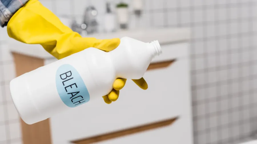 cropped view of woman holding bottle with bleach lettering in