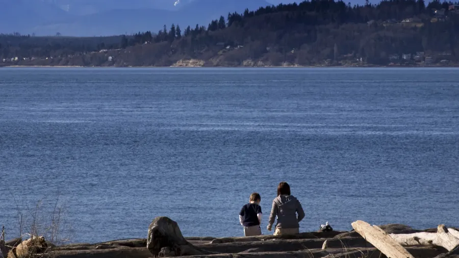 day at the beach mother and son in distance edmonds
