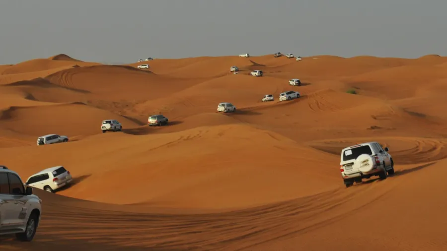 desert safari