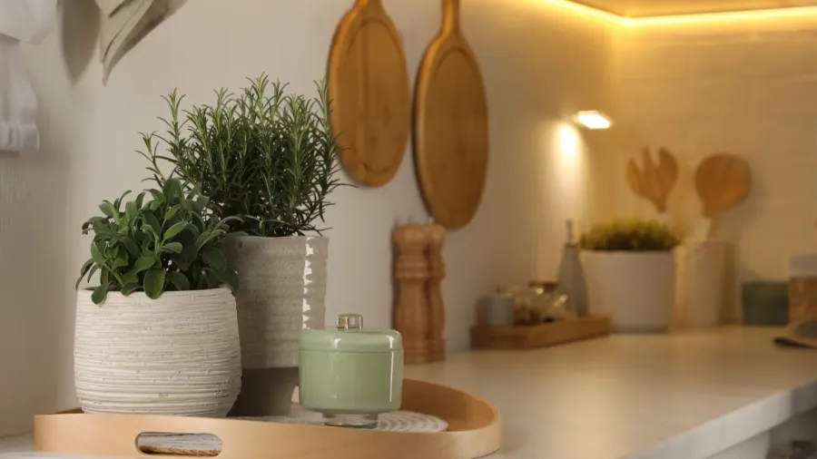 A marble kitchen counter with potted herbs, salt and pepper shakers, and utensils in a holder.