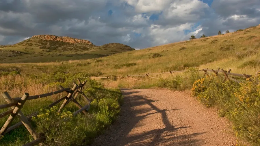 dirt road in colorado