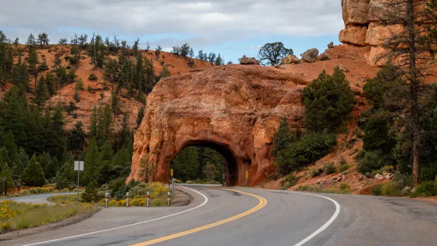 dixie national forest straddles the divide between the great basin