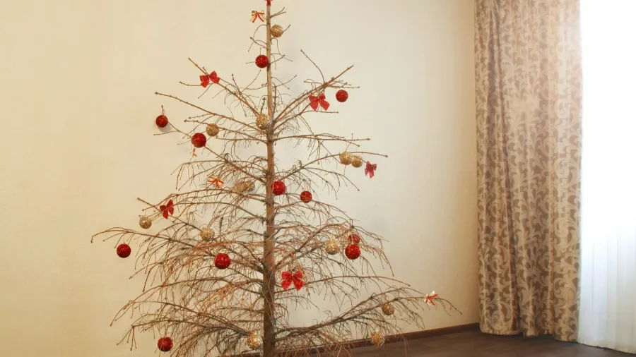 dried christmas tree with balls on the branches stands in