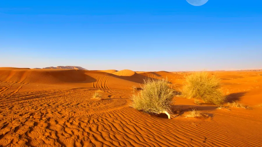 dubai sand dunes
