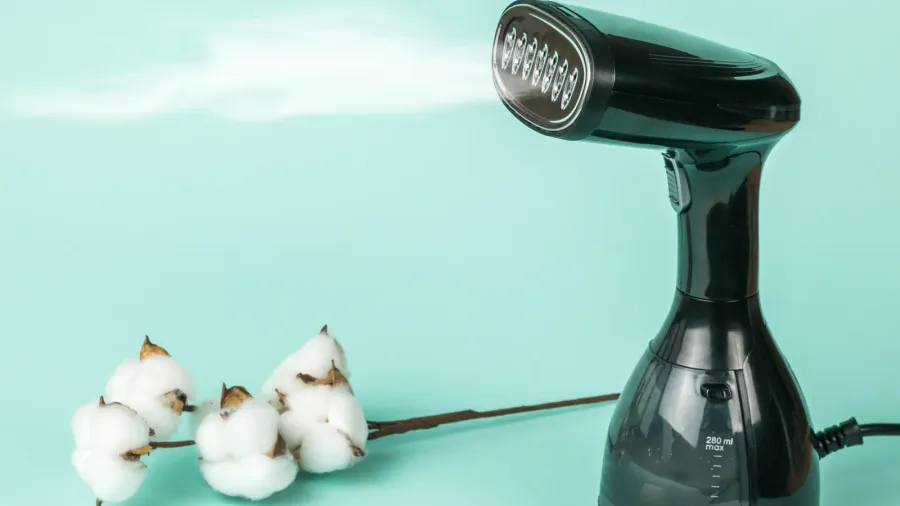 electric steamer and a sprig of cotton on a blue