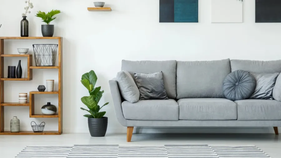 An elegant living room interior with a grey sofa, houseplant, rug, and a wooden shelf with decor accents in it.