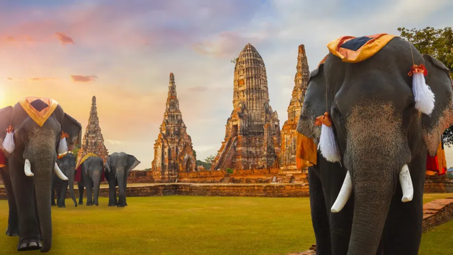 elephant at wat chaiwatthanaram temple in ayuthaya historical park a