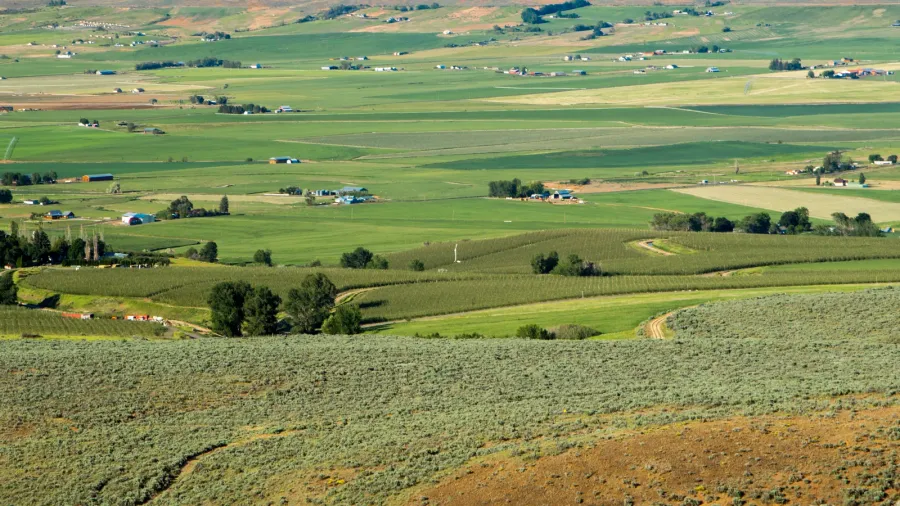 ellensburg hills in western washington