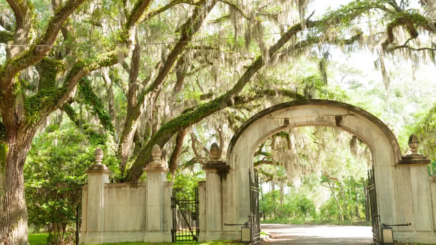 entrance gate and oak alley of southern plantation near savannah