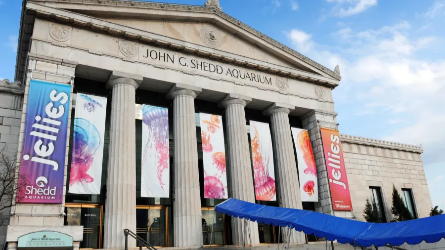 entrance to the john shedd aquarium