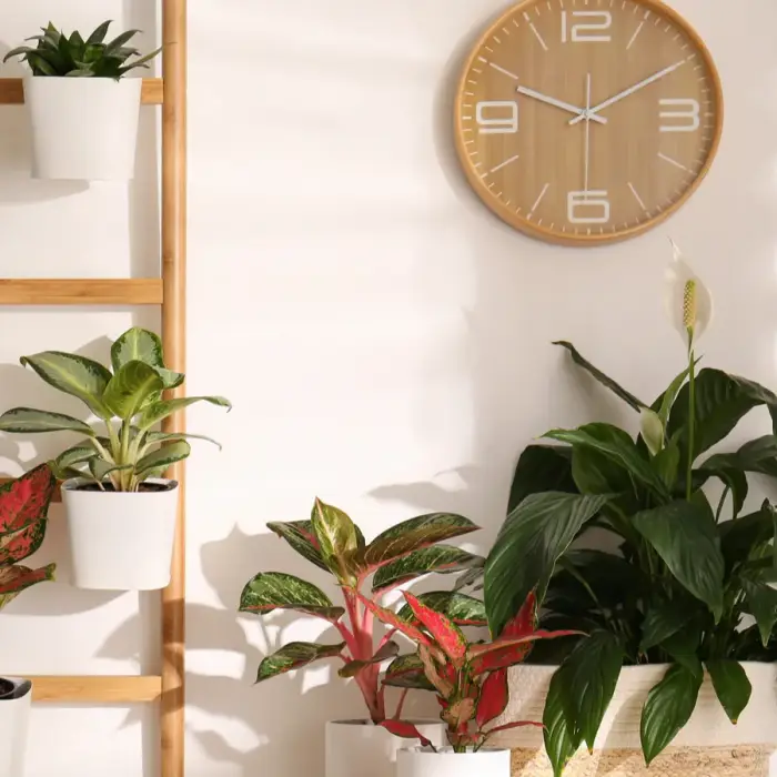 Easy Weekend Projects for Dreamy Home Upgrades