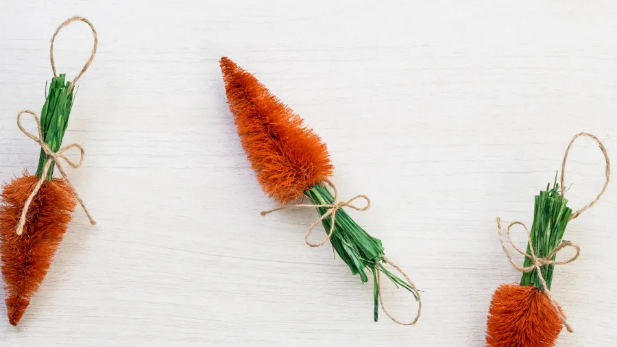 fall autumn harvest spring easter orange carrots lying on white