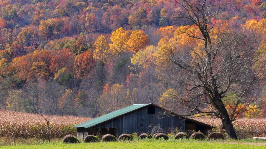 farm in autumn