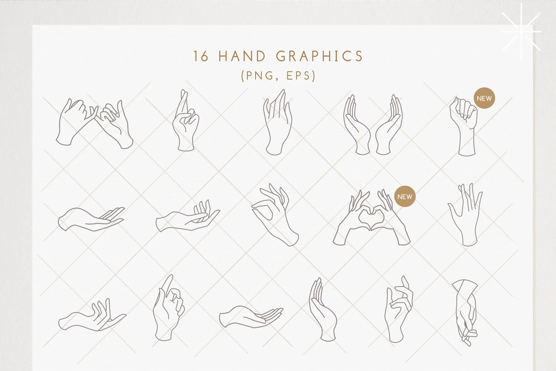 Delicate hand graphics and pre-made logo templates.