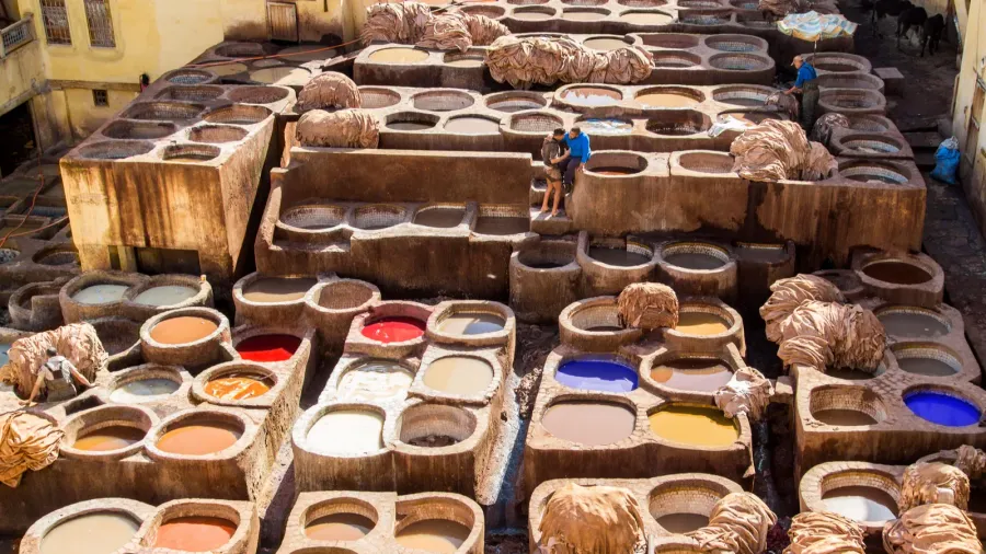 fez morocco  february 23 2019 traditional leather tannery