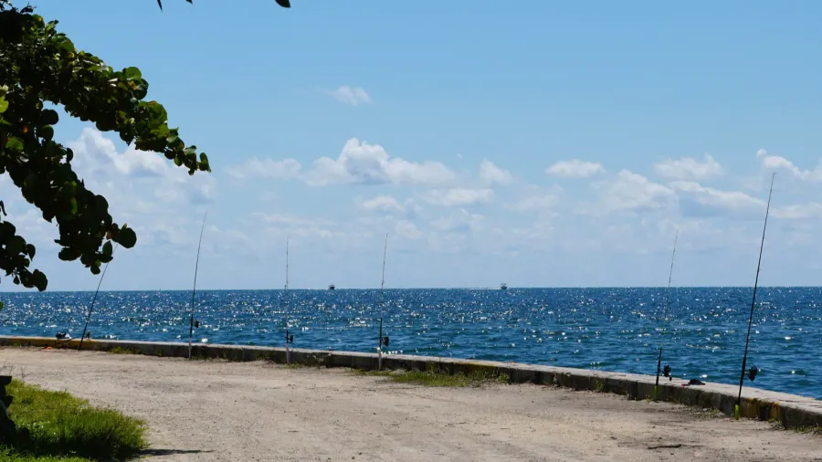 fishing spots with rods on the edge of the dirt