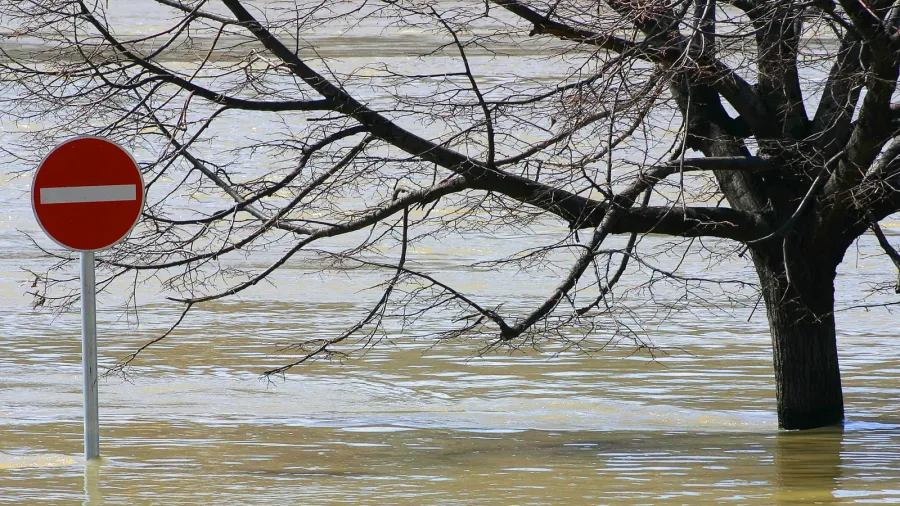 flood