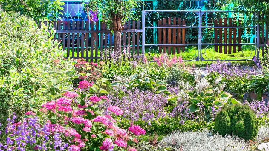 A beautiful garden with wooden fence, colorful flowers, and lush greenery.