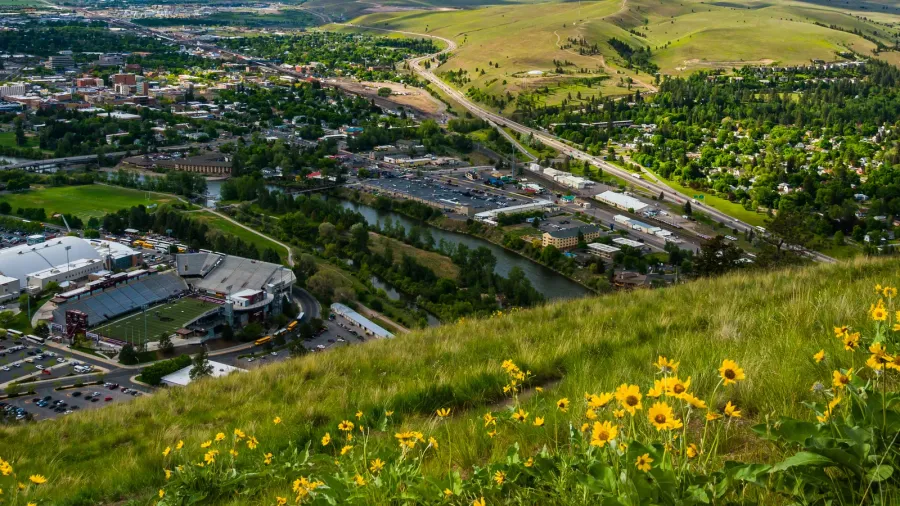 flowers and view of missoula from mount sentinel in missoula