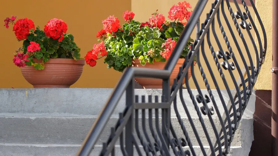 Potted flowers on porch stairs with metal railings.