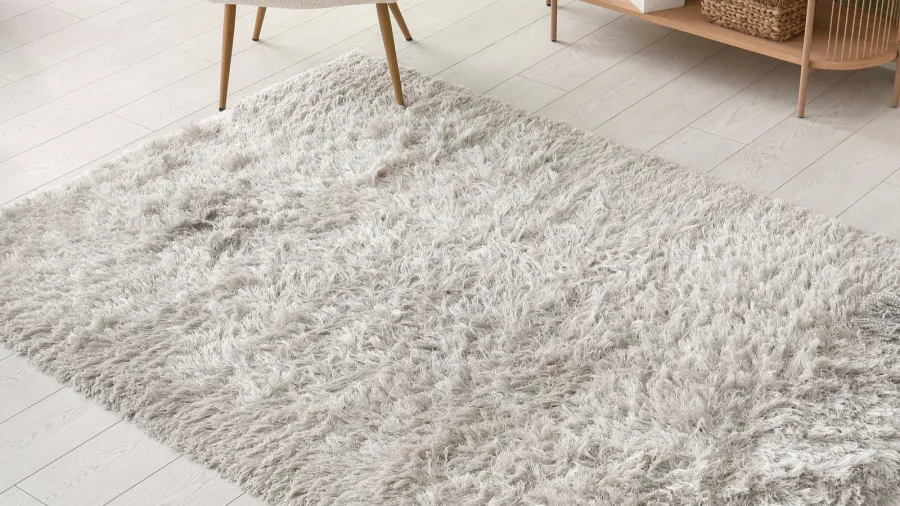 fluffy carpet and furniture in living room