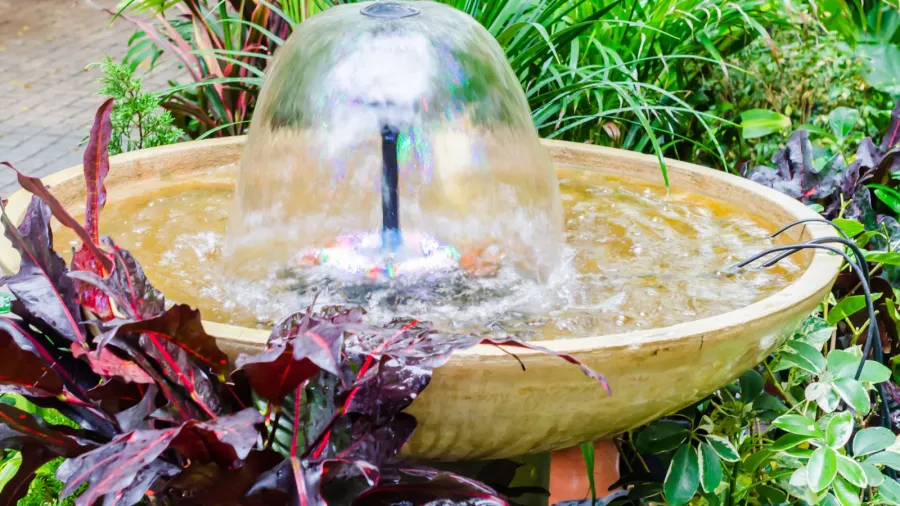 A running water fountain surrounded by plants.