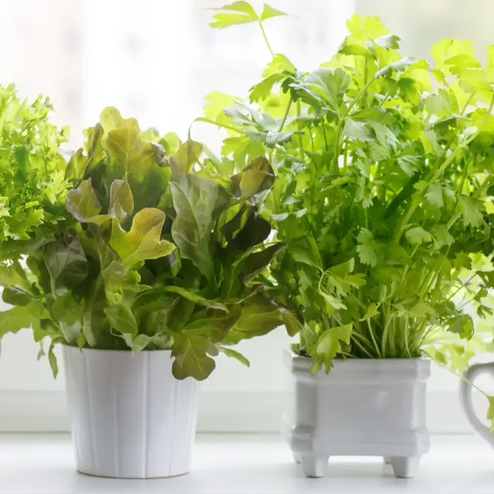 Eco-Friendly Kitchen Fixes You Need Right Now