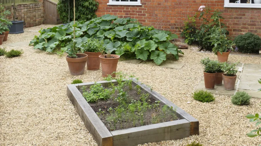 garden with oak sleeper raised bed