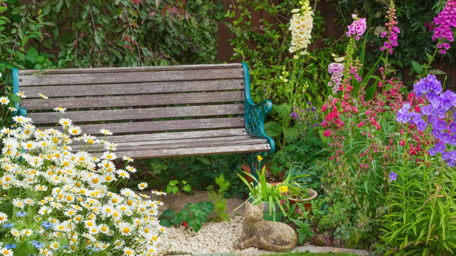 A beautiful garden with a wooden bench surrounded by flowers and greenery.