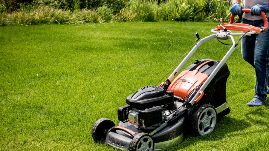 gardener mowing the lawn landscape design green grass background