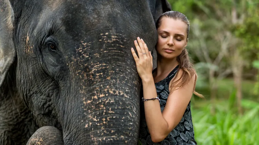 girl hugging an elephant in the jungle