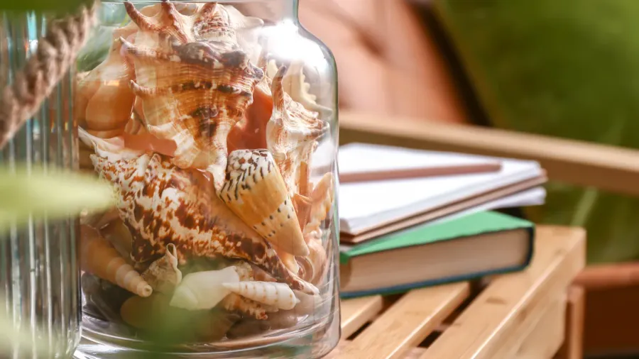 glass jar with different sea shells on wooden table