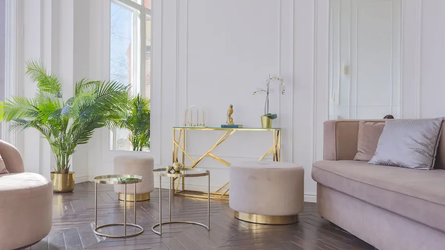 A bright and elegant living space featuring stylish furniture, a green plant, and a gold accent table.