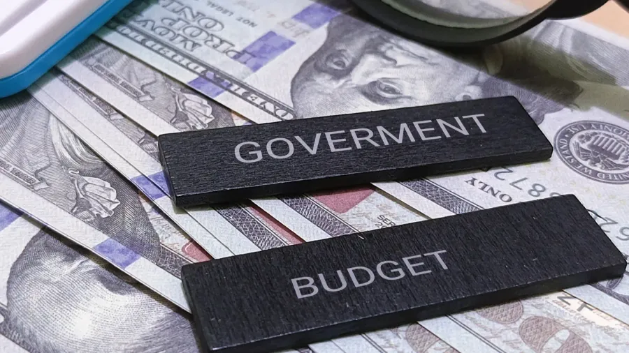 government