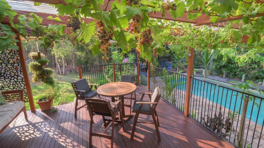 An outdoor dining area with table and chairs with grapes growing from the roof.