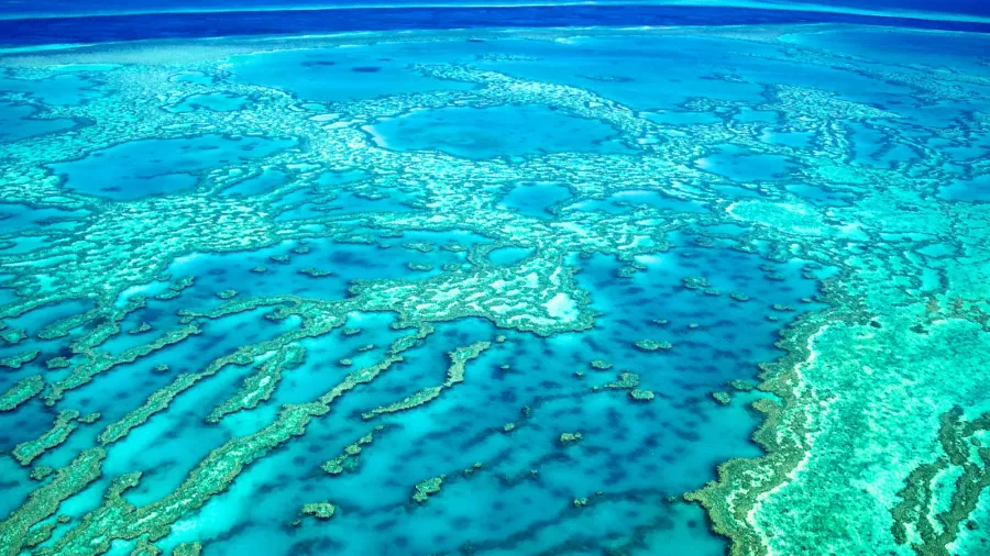 great barrier reef
