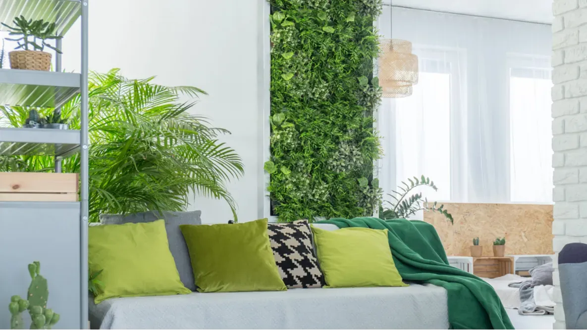 green decoration in room