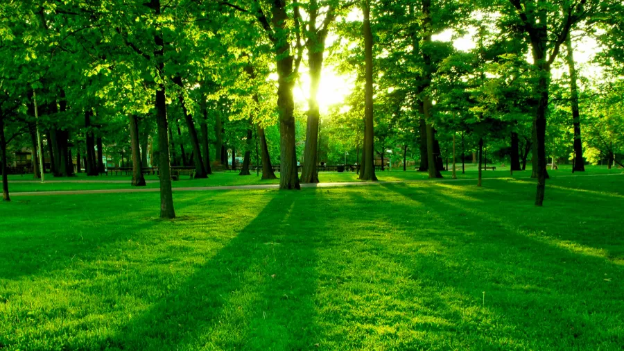 green park