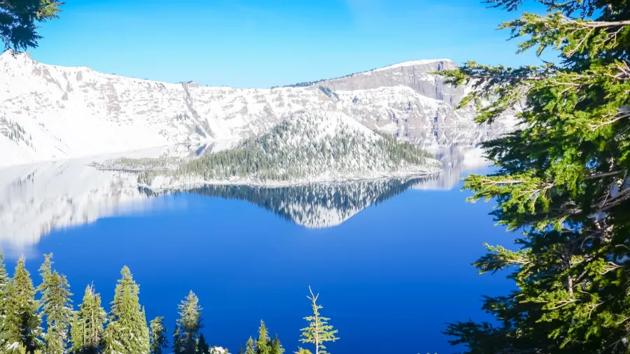 green pine tree lush and reflection of snowcap mountain with