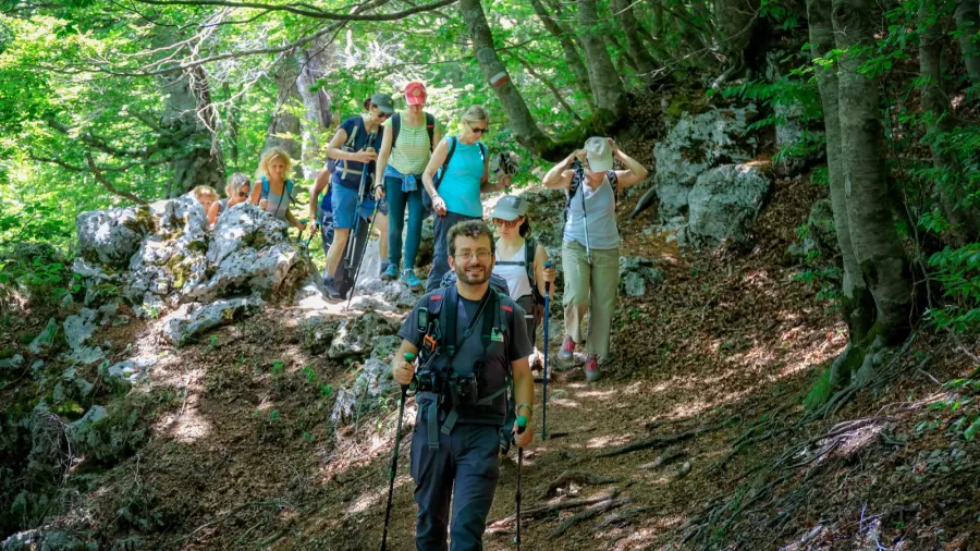 group of hikers in the beech forest