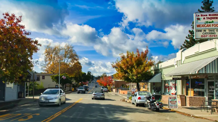guerneville united states  november 12 2011  a vibrant