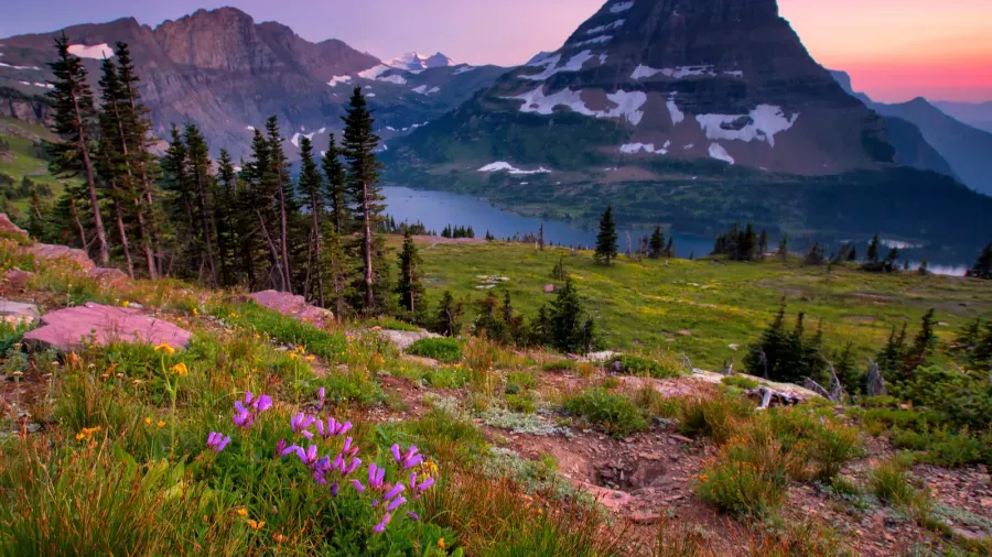 hidden lake trail glacier national park montana usa
