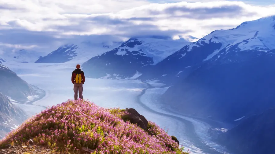Hike in Alaska at summertime.